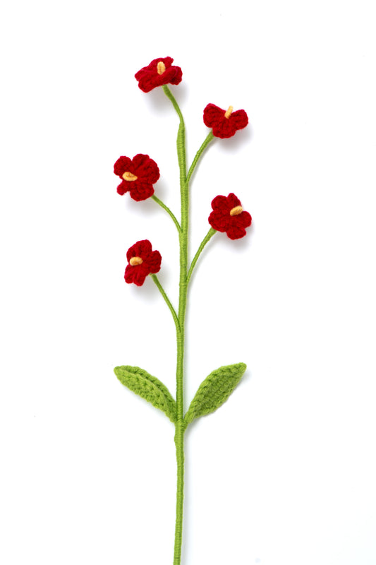 Everfresh Crochet Daisy