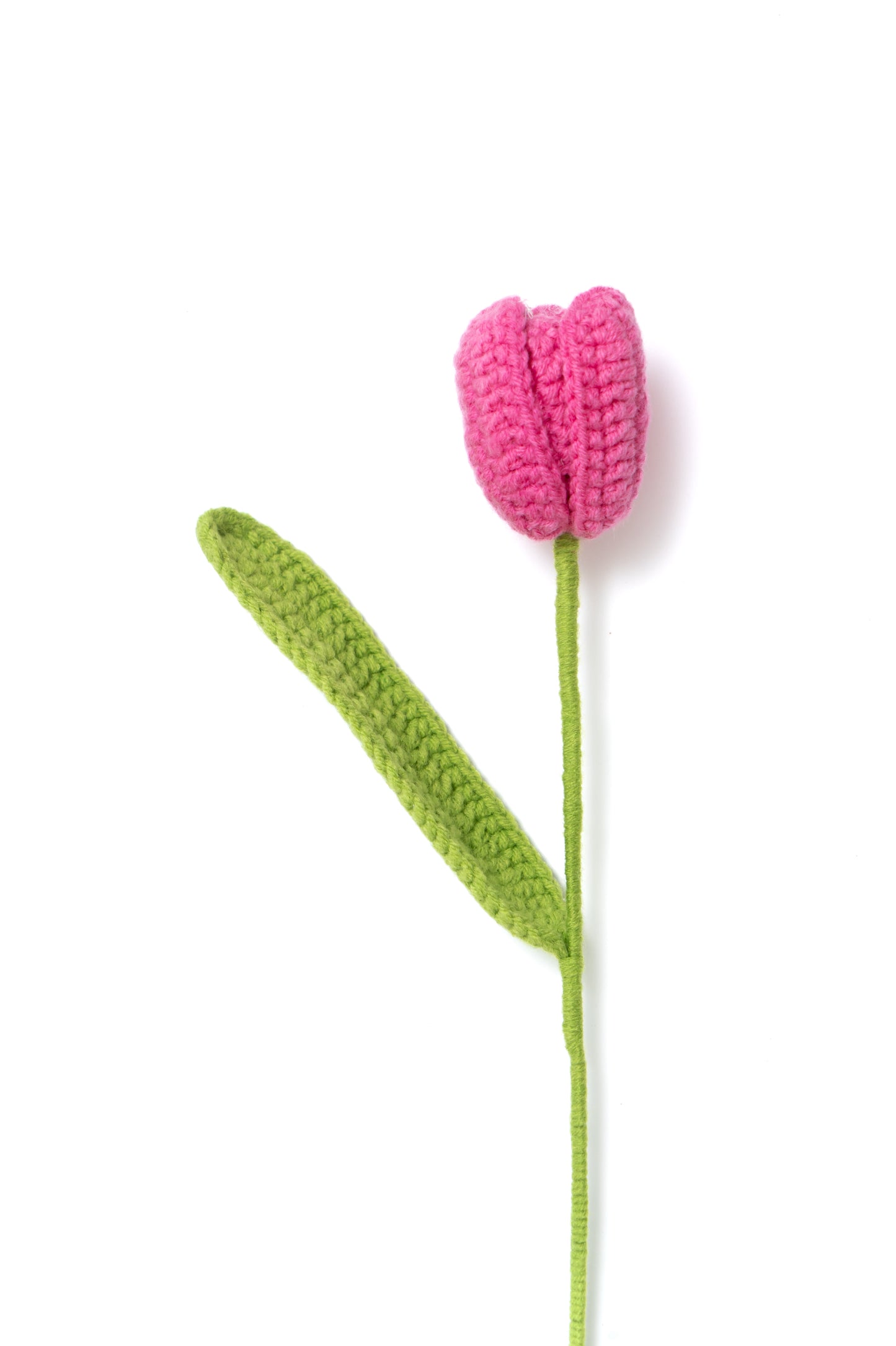 Everfresh Crochet Tulips